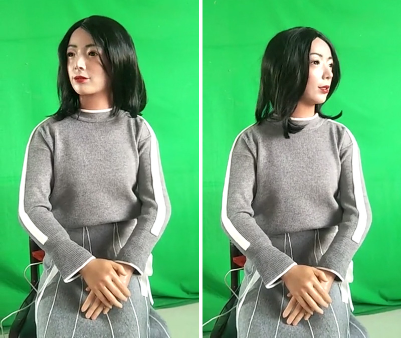 膚色仿真機(jī)器人 膚色仿真機(jī)器人